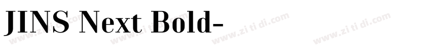 JINS Next Bold字体转换